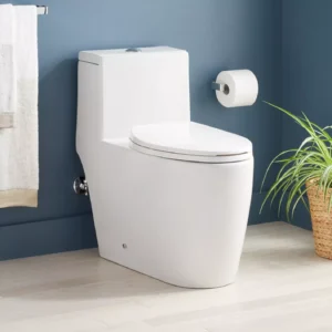 Sitka One-Piece Elongated Skirted Toilet - White
