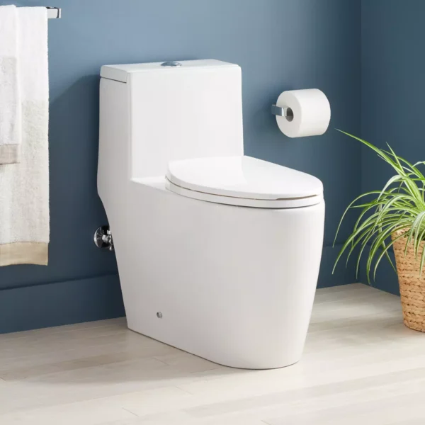 Sitka One-Piece Elongated Skirted Toilet - White