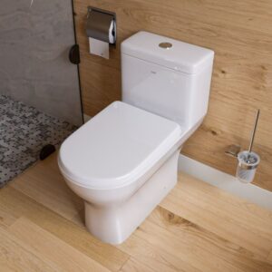 EAGO Dual Flush Elongated Toilet